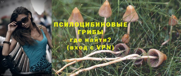 не бодяженный Надым