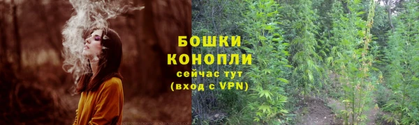 не бодяженный Надым