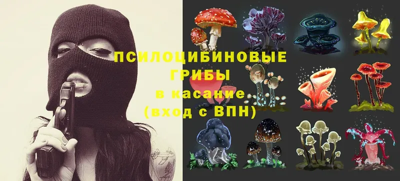 Галлюциногенные грибы MAGIC MUSHROOMS  Черкесск 