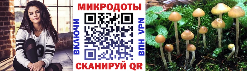 Псилоцибиновые грибы ЛСД Черкесск