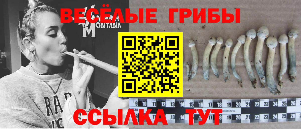 Псилоцибиновые грибы мухоморы  даркнет сайт  Черкесск  Псилоцибиновые грибы мицелий  Вход с VPN 