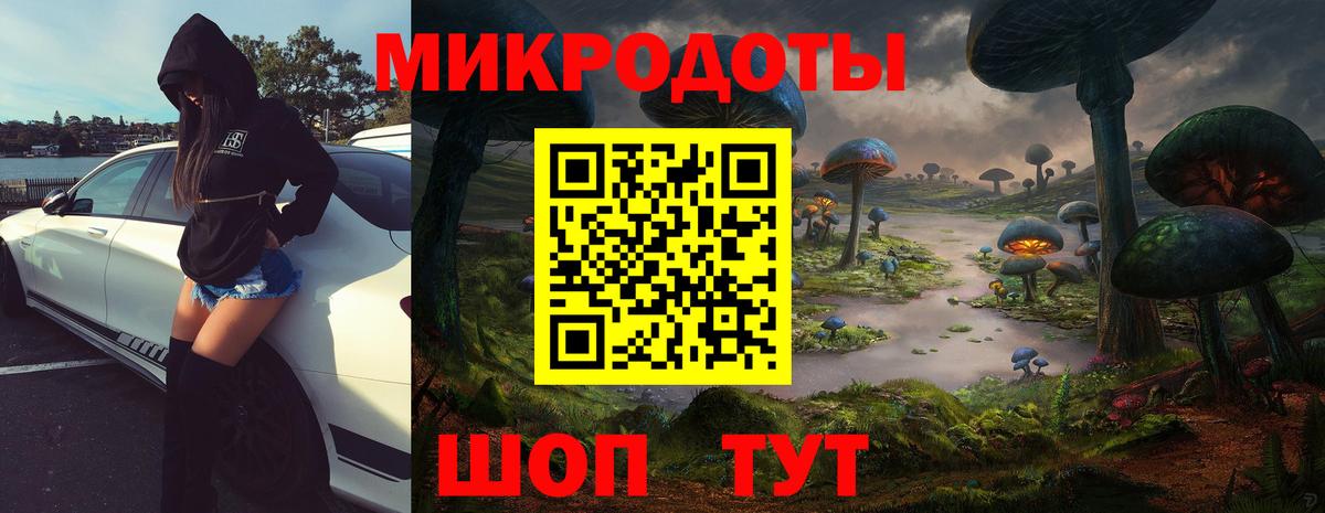 купить закладку  Черкесск  Галлюциногенные грибы Psilocybe 