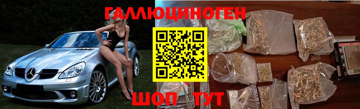 Галлюциногенные грибы GOLDEN TEACHER Черкесск